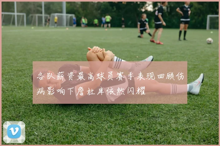 各队薪资最高球员赛季表现回顾伤病影响下詹杜库依然闪耀